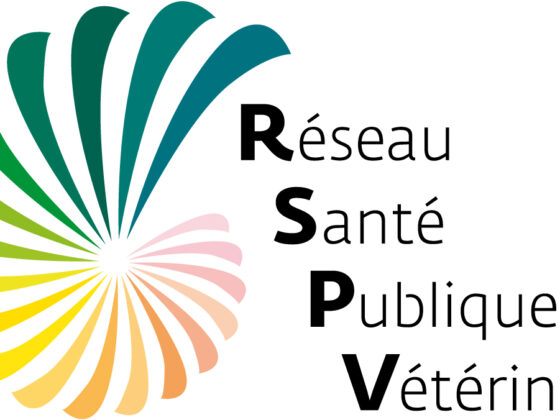 logo_RSPV